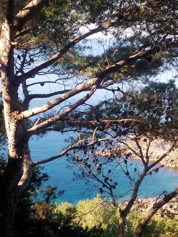 Portoselvaggio Villa Martina Санта-Катерина Номер фото